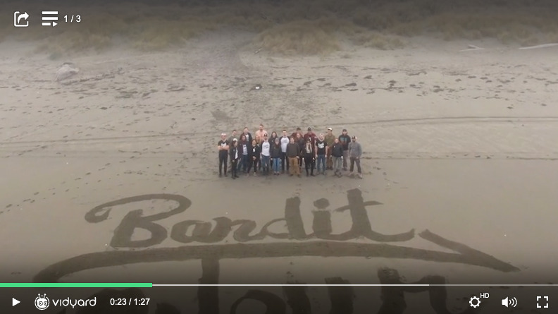 A screenshot of a business team on a beach as seen from a drone above.