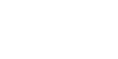 TeamViewer Logo