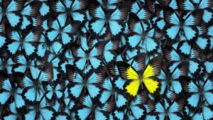 One yellow butterfly standing out among a bunch of blue butterflies. Depicting how the best email subject lines for sales emails can help you stand out and get an open.
