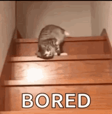 A GIF of a bored cat sliding down the stairs.