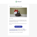 Vidyard's holiday video in an email