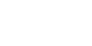 TeamViewer Logo