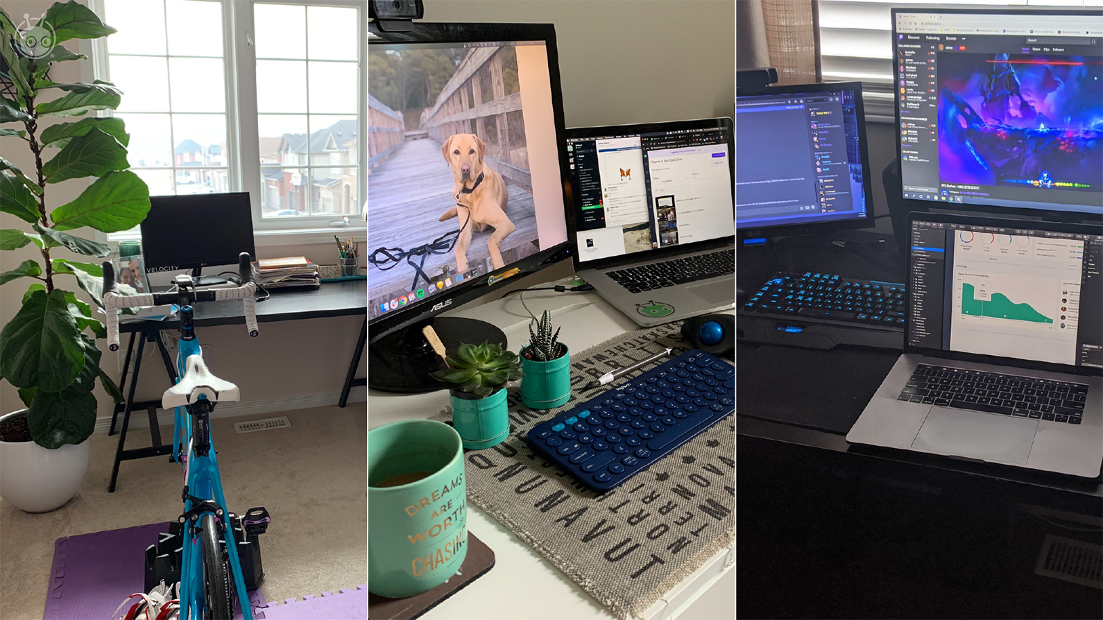 a few Vidyard employees' work from home setups